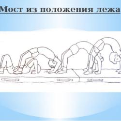  мостик  гимнастика Элементы гимнастики мост из положения лежа , сед– техника выполнения. -  Онлайн урок | Online Test Pad